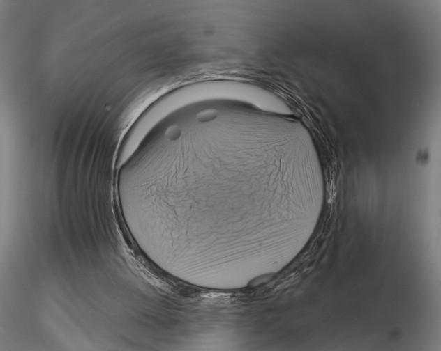 X0000115200052200912091144