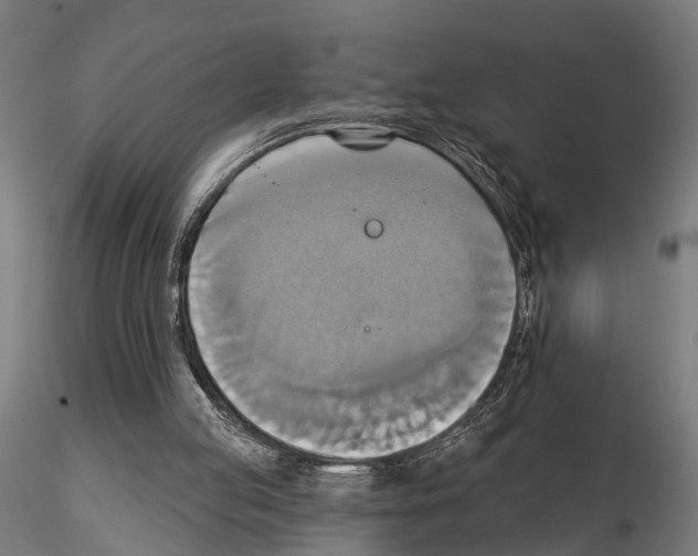 X0000115200053200912091144