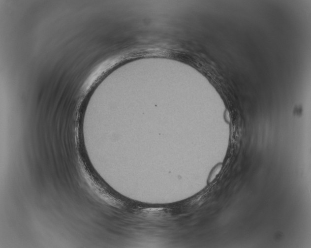 X0000115200054200912091144