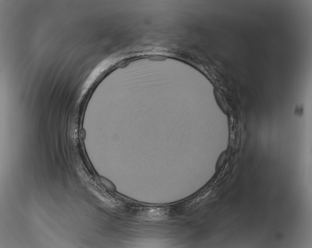 X0000115200056200912091144