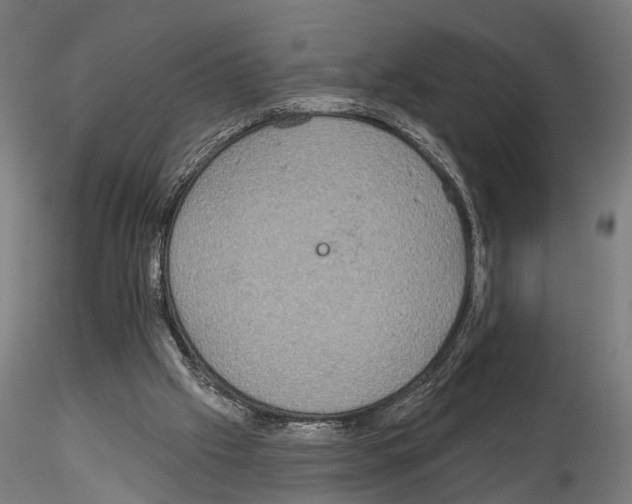 X0000115200057200912091144