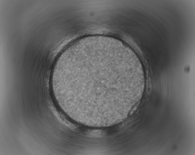 X0000115200058200912091144