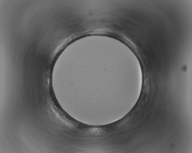 X0000115200059200912091144