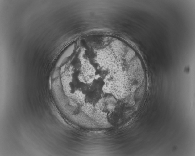 X0000115200061200912091144