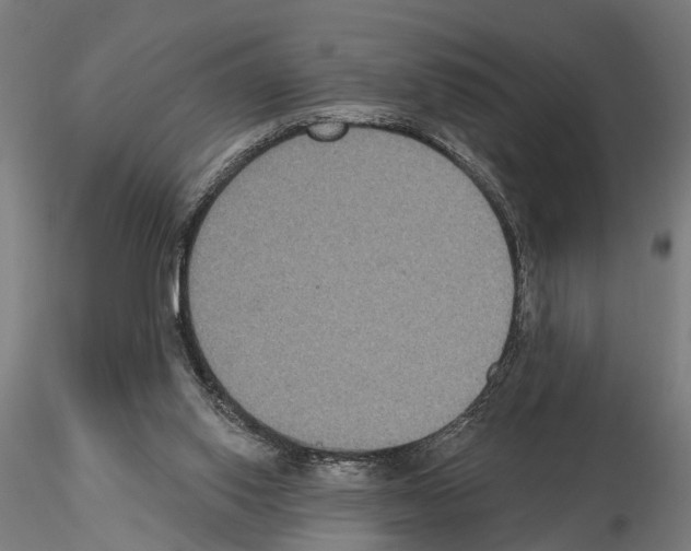 X0000115200062200912091144