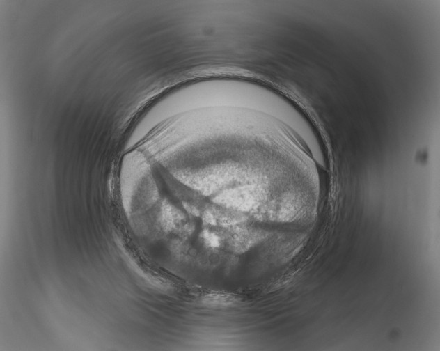 X0000115200063200912091144