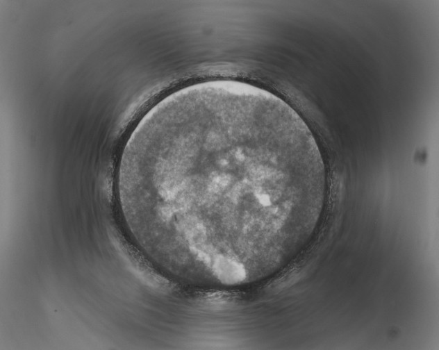 X0000115200064200912091144