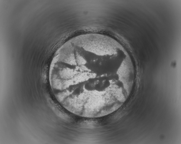 X0000115200065200912091144