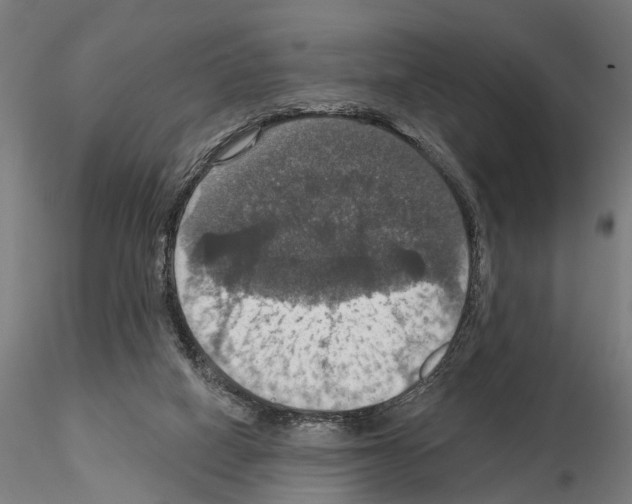 X0000115200066200912091144