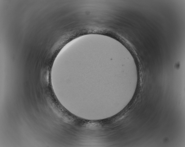 X0000115200067200912091144