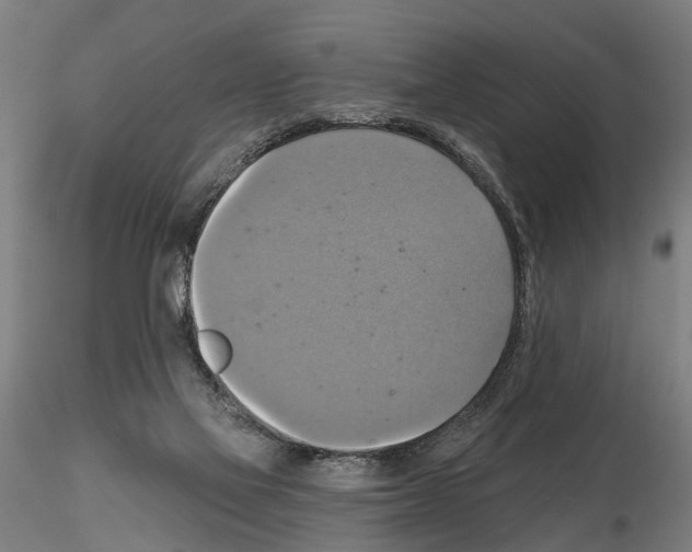 X0000115200069200912091144