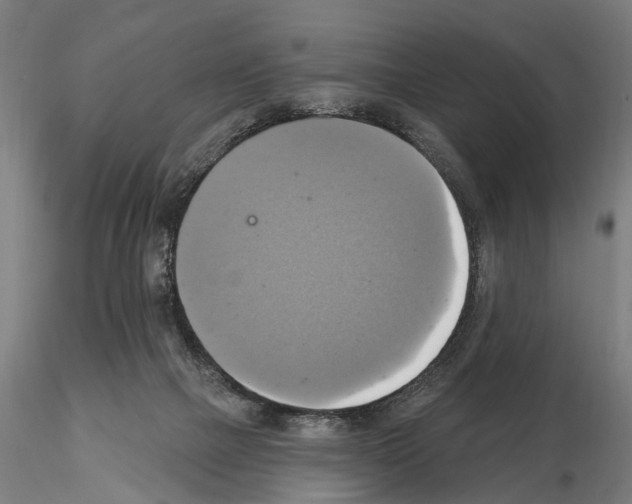 X0000115200073200912091144