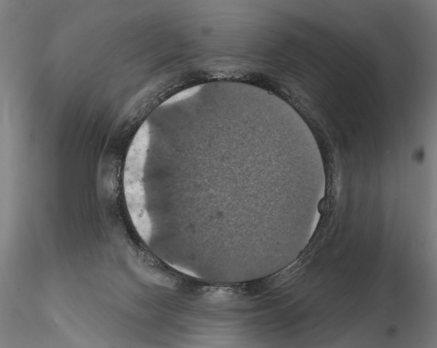 X0000115200074200912091144