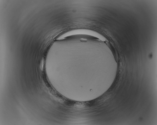 X0000115200076200912091144