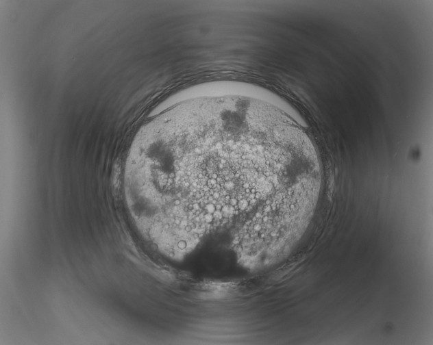 X0000115200077200912091144