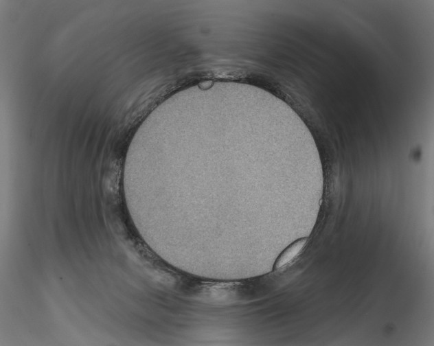 X0000115200078200912091145