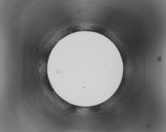 X0000115200079200912091145