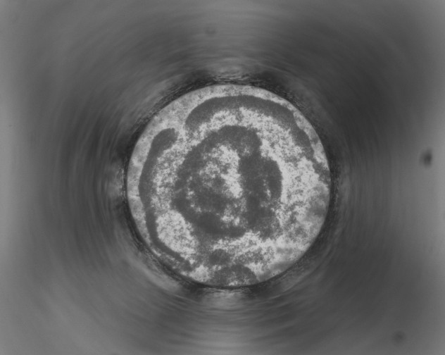 X0000115200081200912091145