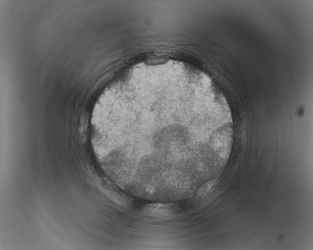 X0000115200082200912091145