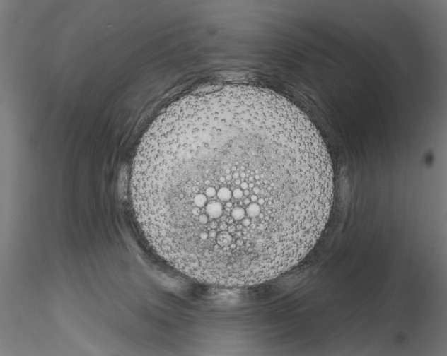 X0000115200083200912091145