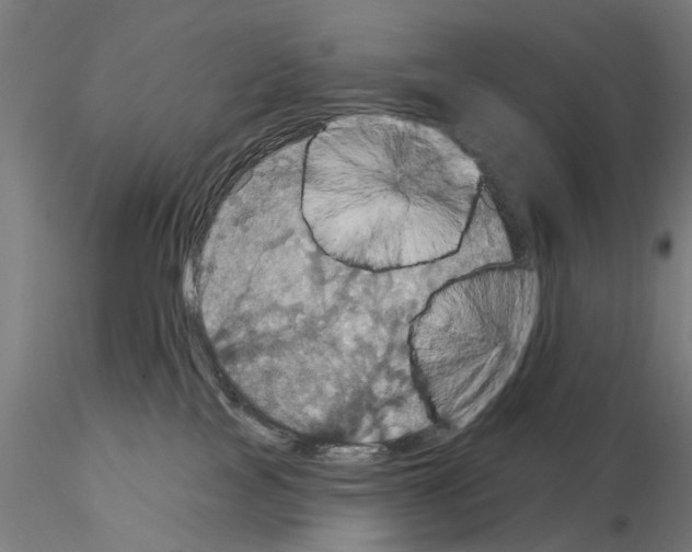 X0000115200089200912091145