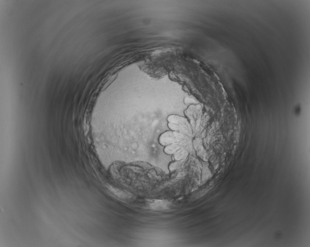 X0000115200091200912091145