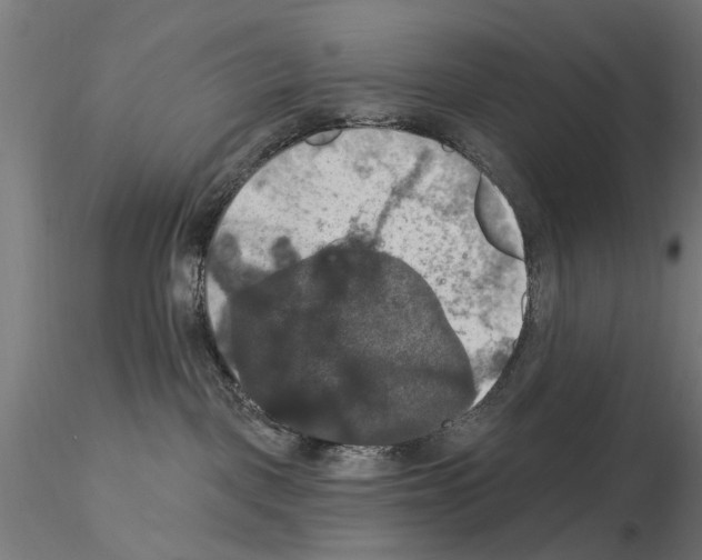 X0000115200093200912091145