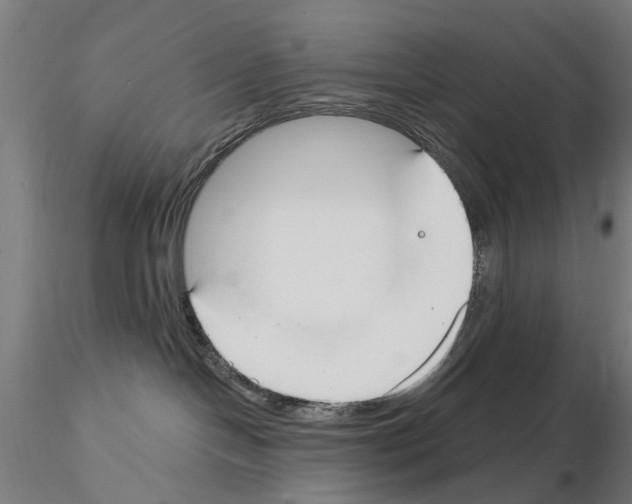 X0000115200094200912091145