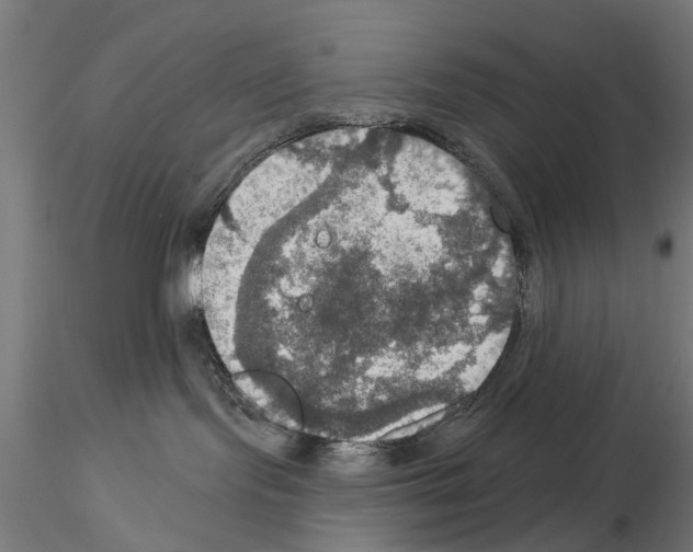 X0000115200095200912091145