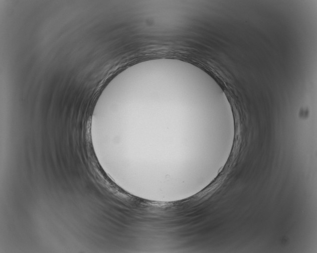 X0000115200096200912091145