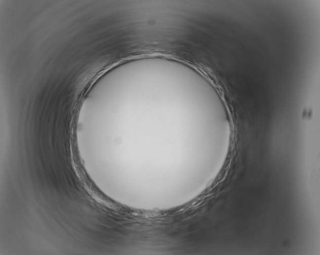 X0000115200097200912091144