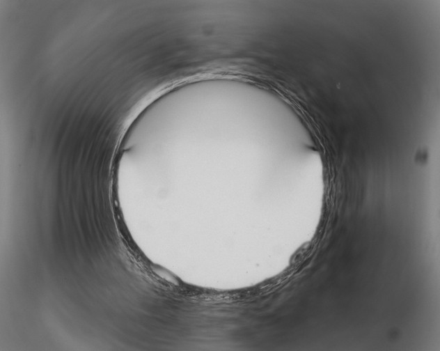 X0000115200100200912091144