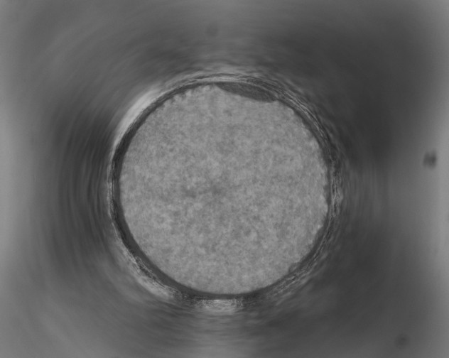 X0000115200102200912091144