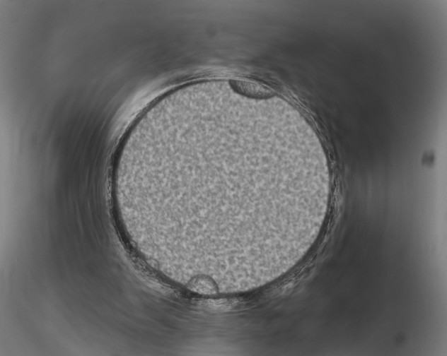 X0000115200103200912091144