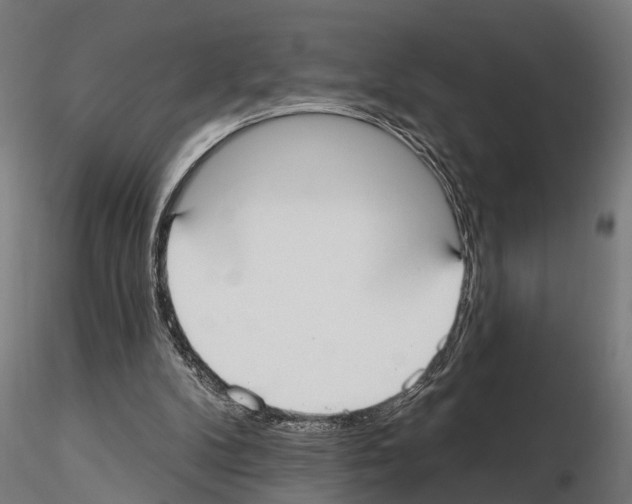 X0000115200104200912091144