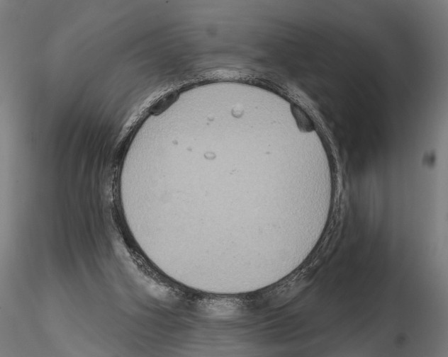 X0000115200106200912091144