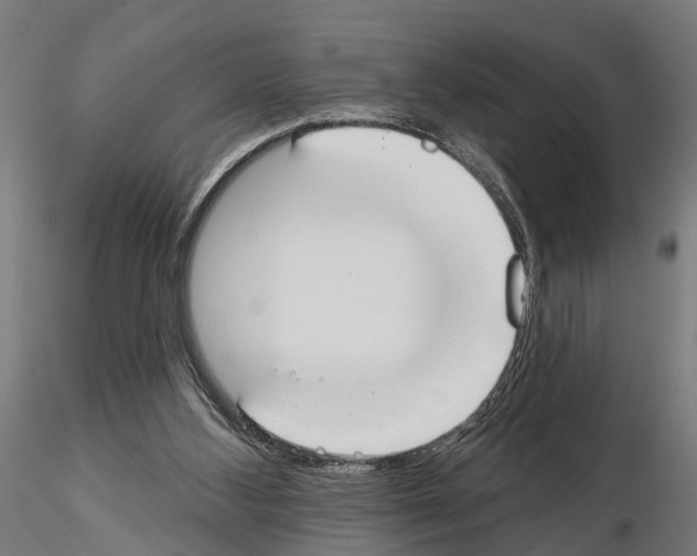 X0000115200108200912091144