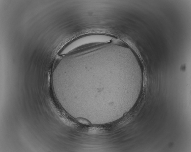 X0000115200109200912091144