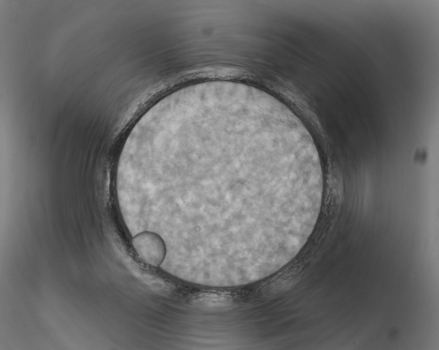 X0000115200110200912091144