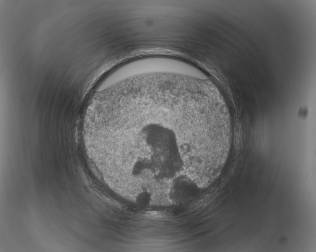 X0000115200111200912091144