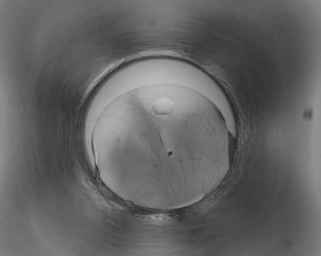 X0000115200112200912091144