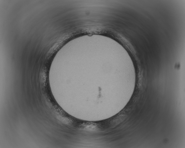 X0000115200113200912091144