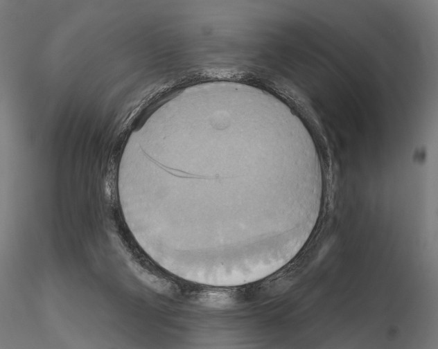 X0000115200114200912091144