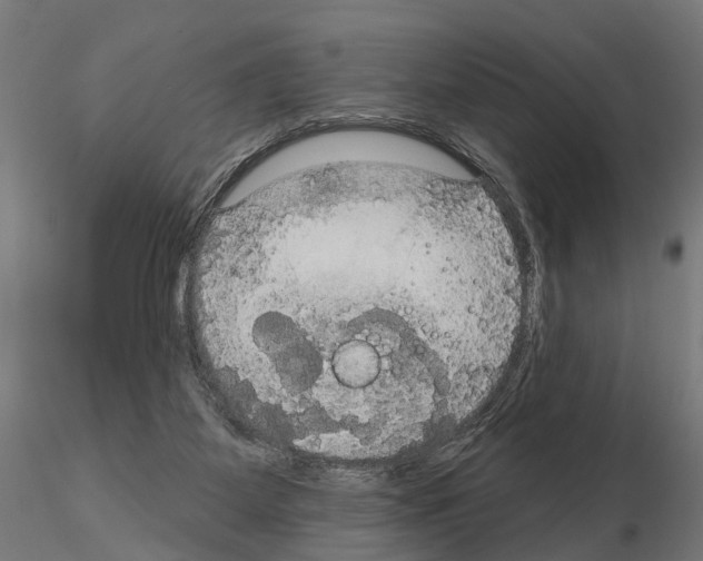 X0000115200115200912091144