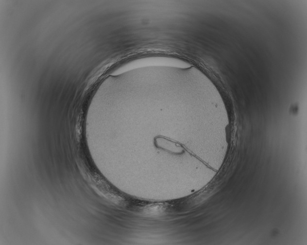 X0000115200116200912091144