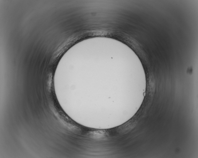 X0000115200118200912091144