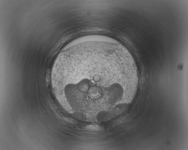 X0000115200119200912091144