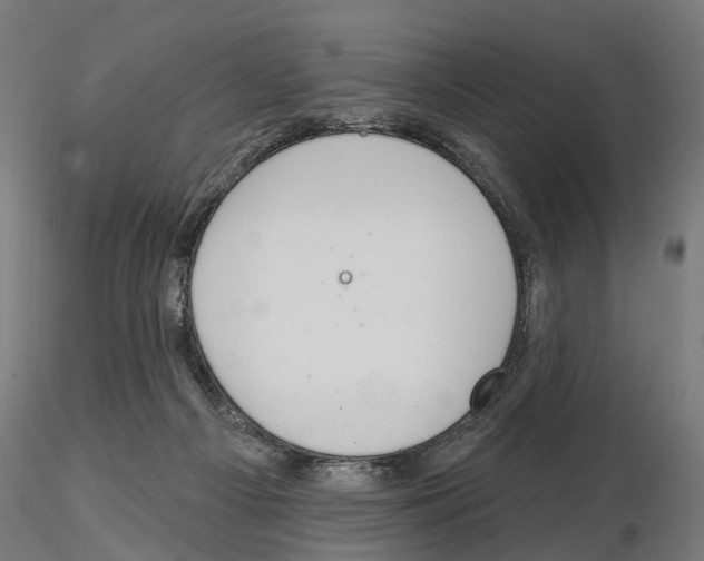 X0000115200121200912091144