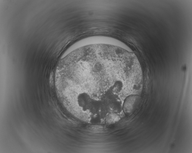 X0000115200123200912091144