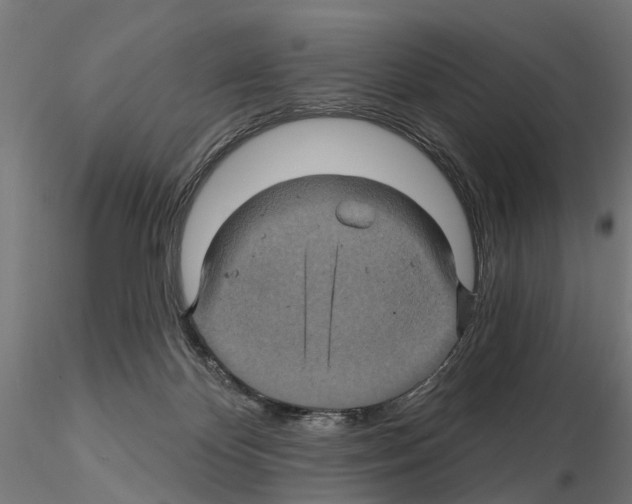 X0000115200124200912091144